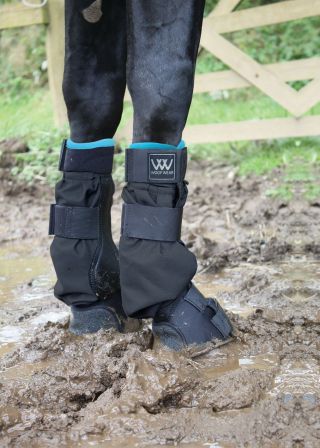Woof Wear Anti-Mauke Gamasche