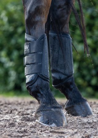 Vielseitigkeitsgamasche Pro Event Boot - hinten