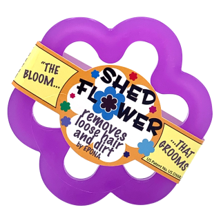 Epona Striegel Shed Flower