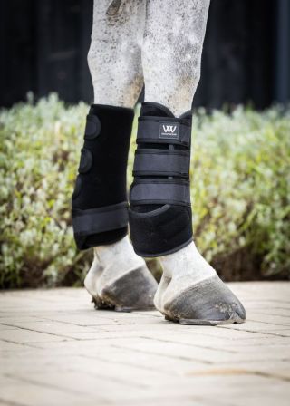 Woof Wear Training Wraps