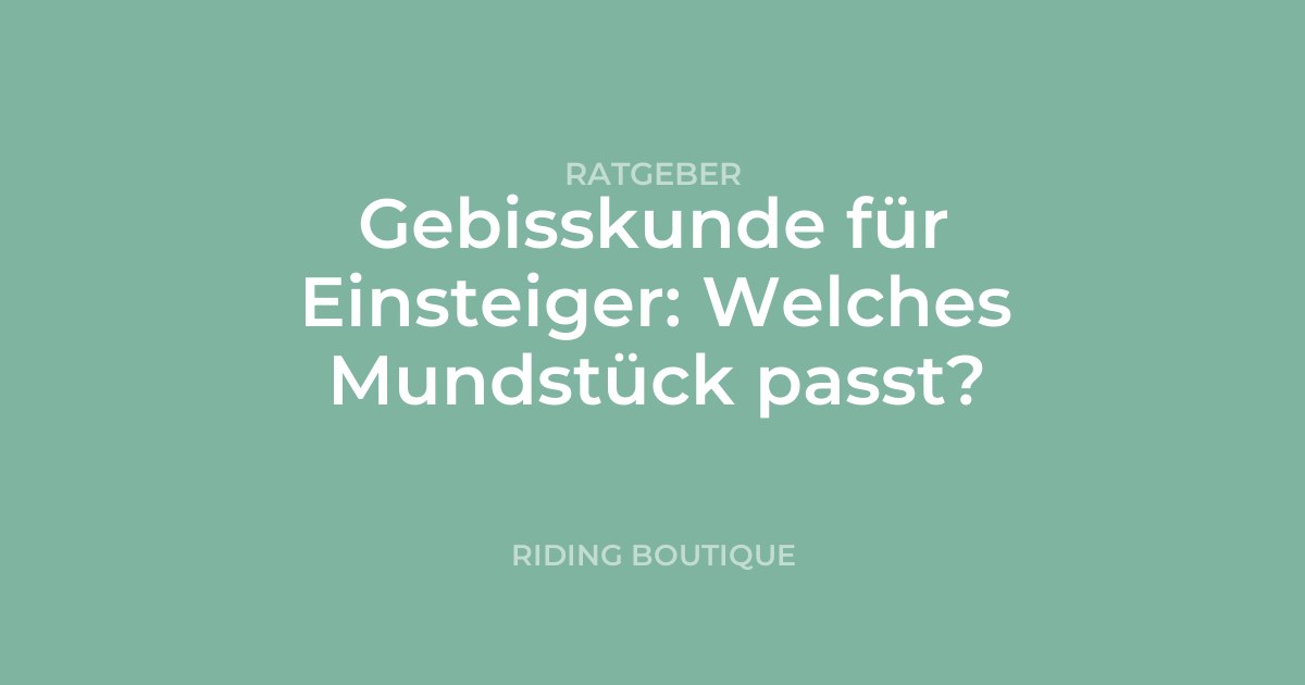 Gebisskunde für Einsteiger: Welches Mundstück passt?