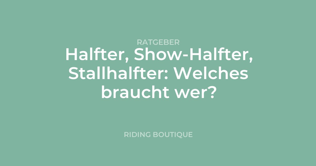 Halfter, Show-Halfter, Stallhalfter: Welches braucht wer?