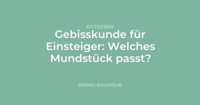 Gebisskunde für Einsteiger: Welches Mundstück passt?