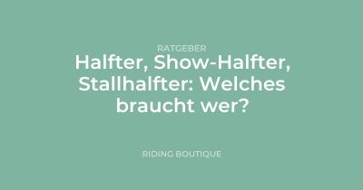 Halfter, Show-Halfter, Stallhalfter: Welches braucht wer?